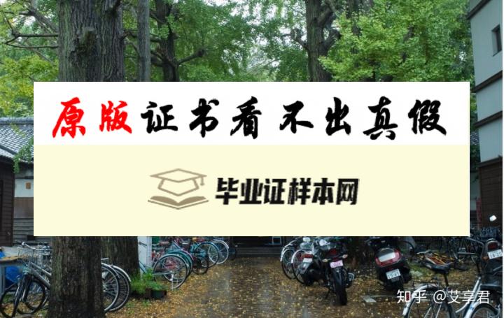 日本京都大学毕业证书模板