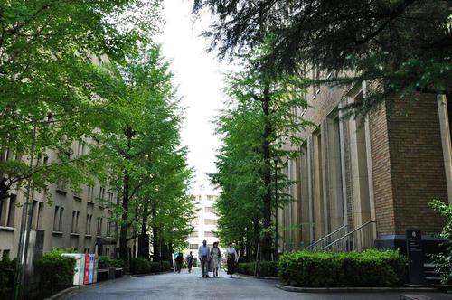 日本一桥大学毕业证书模板