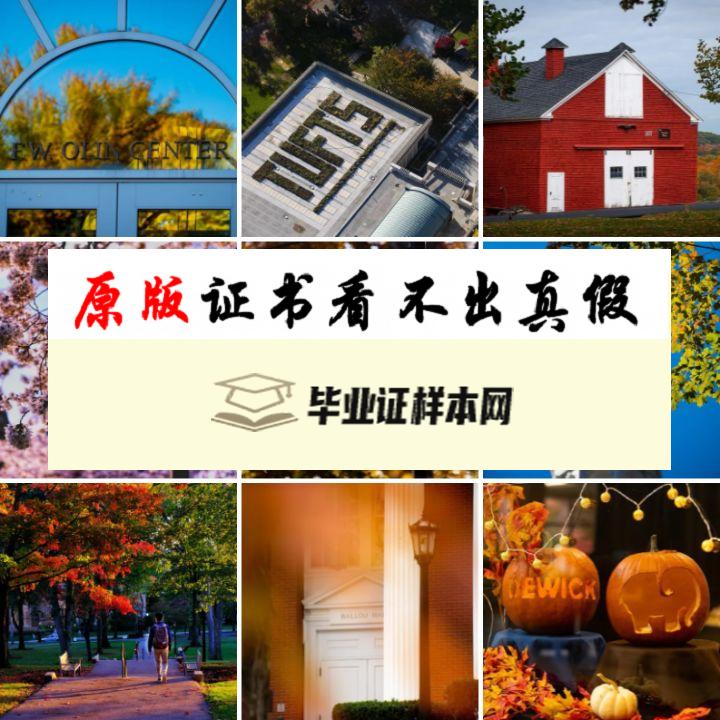 美国塔夫茨大学毕业证书模板  Tufts University