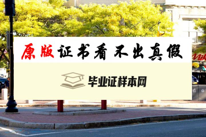 美国塔夫茨大学毕业证书模板  Tufts University