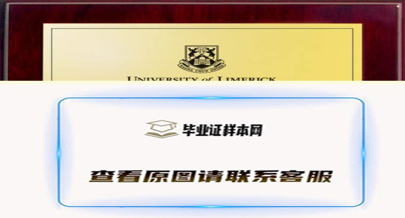 利默瑞克大学毕业证书样本