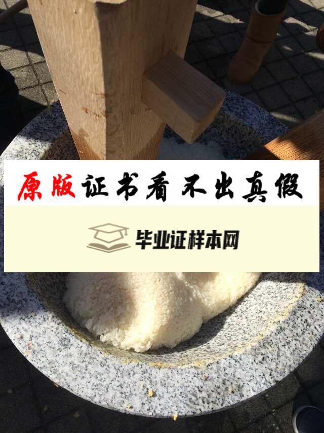 ​日本东京大学毕业证书模板