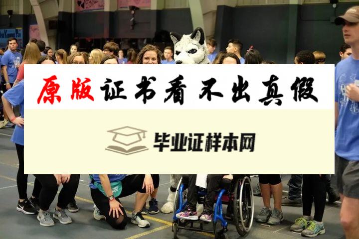 美国​康涅狄格大学毕业证书模板