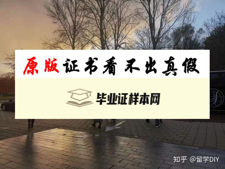 荷兰屯特大学毕业证书模板