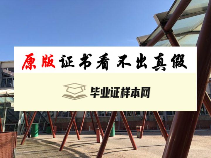 意大利都灵大学毕业证书模板