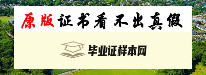 英国卡迪夫城市大学毕业证书样本