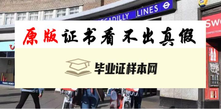 加拿大布鲁克大学毕业证书模板