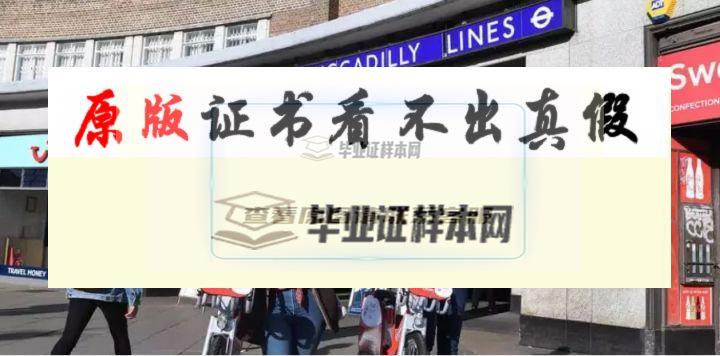 加拿大布魯克大學畢業證書模板