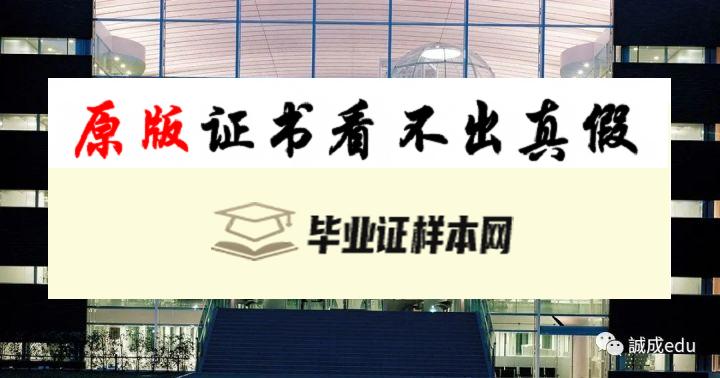 日本成蹊大学毕业证书模板