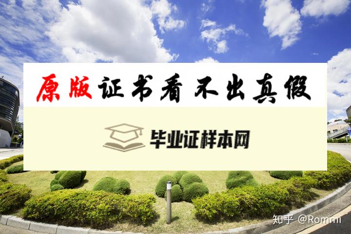 韩国培材大学毕业证书模板