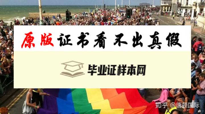 英国萨塞克斯大学毕业证书样本