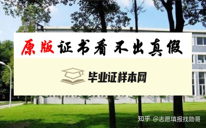 韩国中央大学毕业证书模板