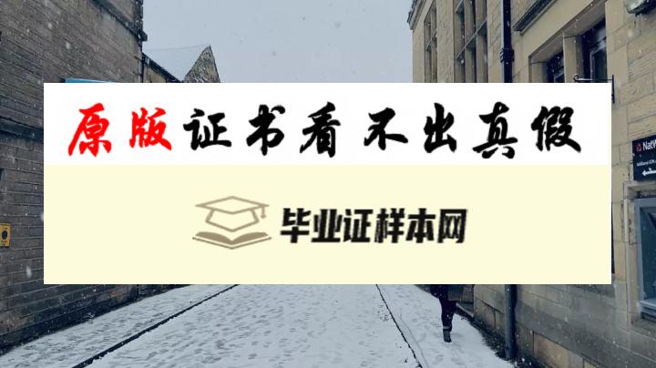 英国曼切斯特大学成绩单样本