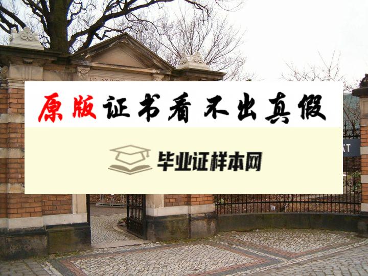 美国德累斯顿工业大学毕业证书模板