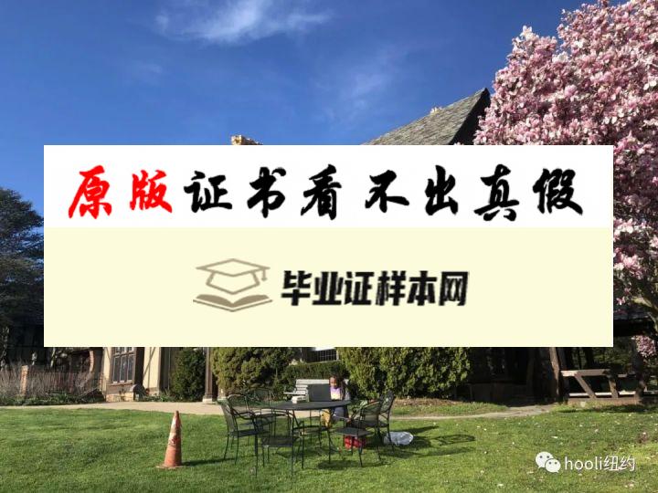 美国长岛大学毕业证书模板