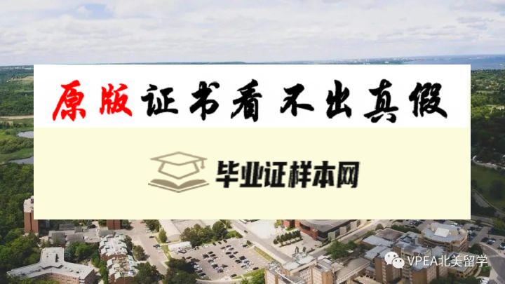 加拿大麦克马斯特大学毕业证书模板