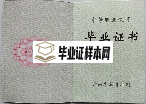 云南省2007年中专毕业证内芯