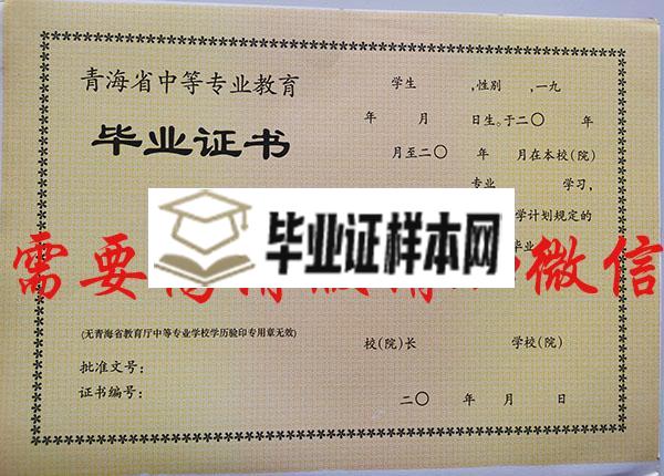 青海省2010年中专毕业证样本