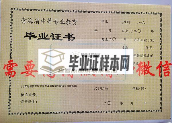青海省2010年中专毕业证样本