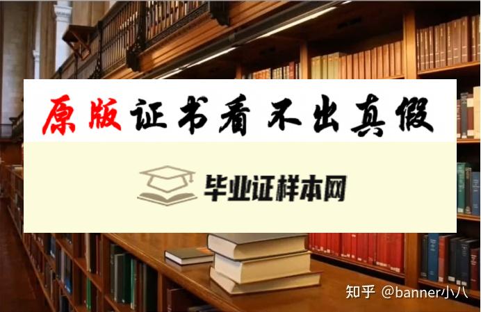 英国南安普顿大学毕业证书模板