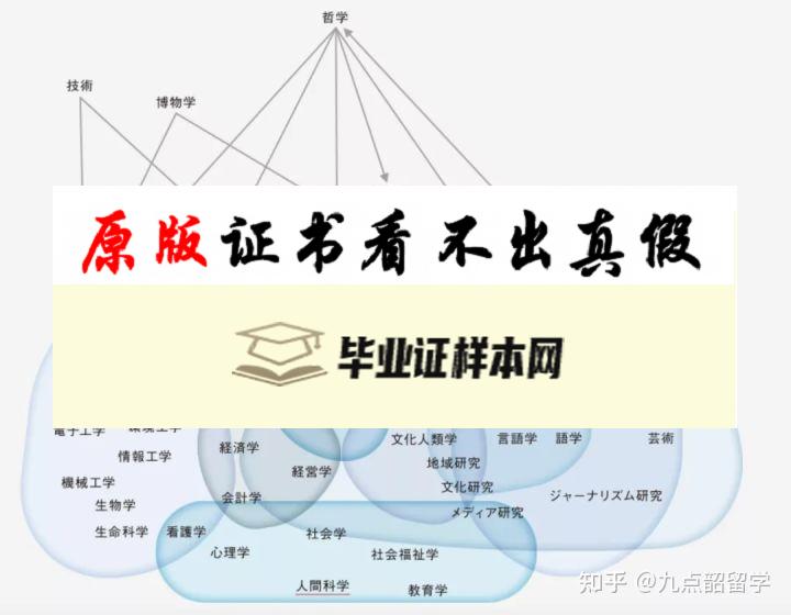 ​日本上智大学毕业证书模板