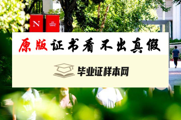 美国东北大学成绩单模板