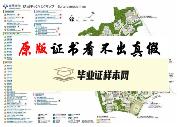 日本大阪大学毕业证书模板