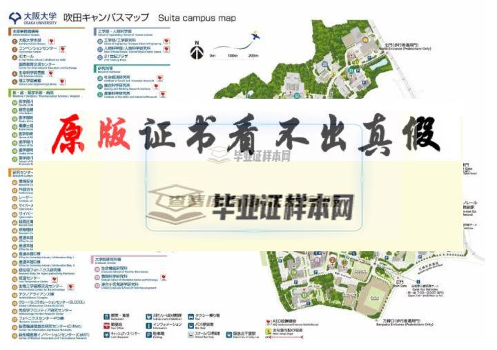 日本大阪大学毕业证书模板插图4
