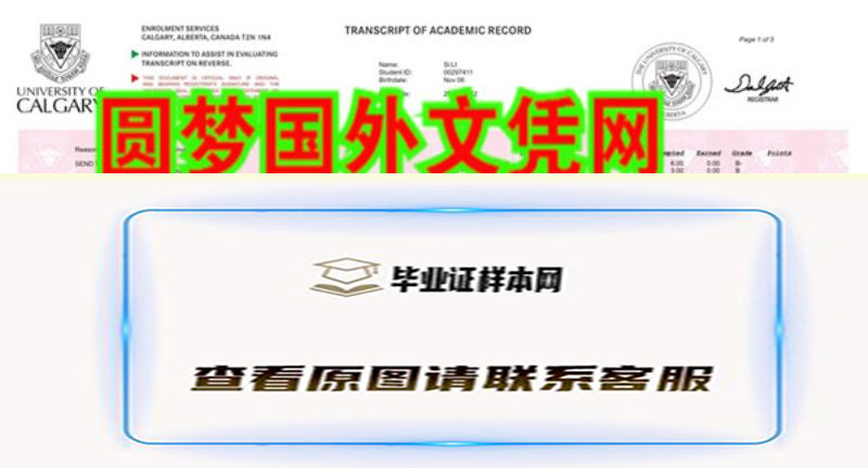 卡尔加里大学成绩单原版样本