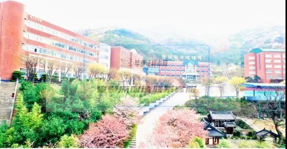 韓國水原科學大學畢業證書模板