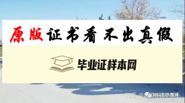 加拿大里贾纳大学成绩单样本