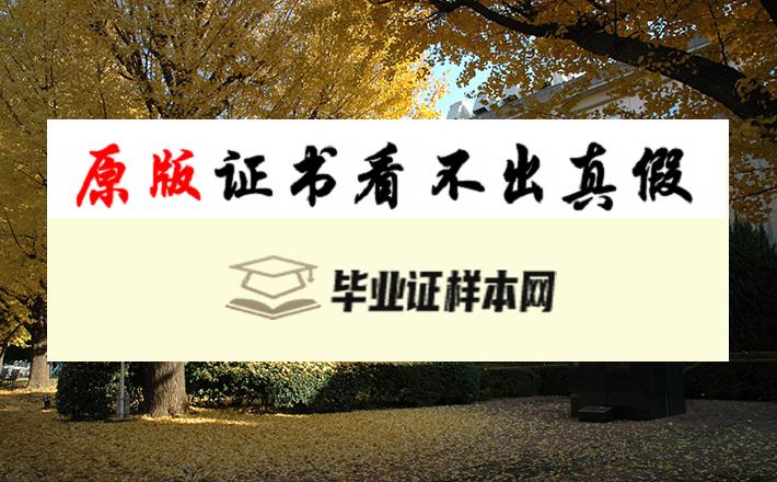 日本东京工科大学毕业证书模板