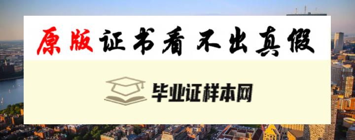 美国萨福克大学毕业证书模板