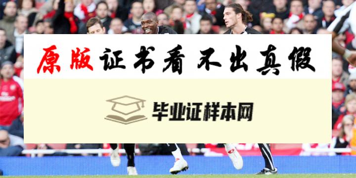 英国纽卡斯尔大学毕业证书样本  Newcastle University