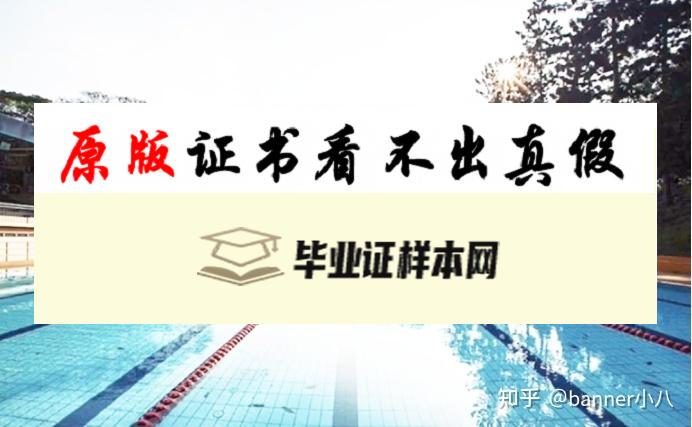 英国南安普顿大学毕业证书模板