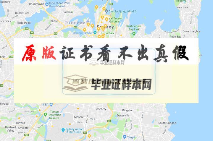 澳大利亞?新南威爾士大學成績單樣本