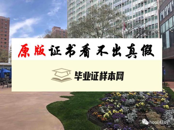 美国长岛大学毕业证书模板