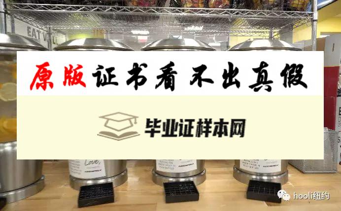 美国佩斯大学毕业证书模板