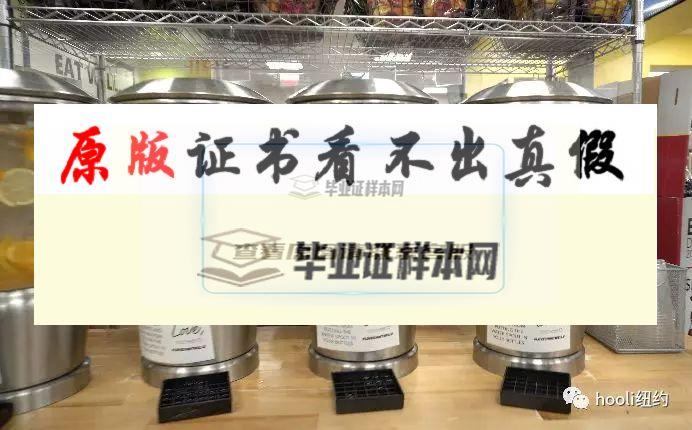 美國佩斯大學畢業證書模板