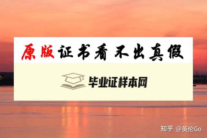 英国伦敦南安普顿大学毕业证书模板