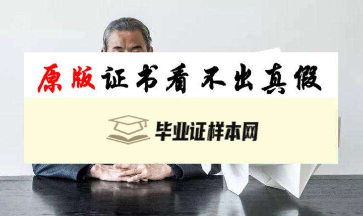 ​日本东京艺术大学毕业证书模板