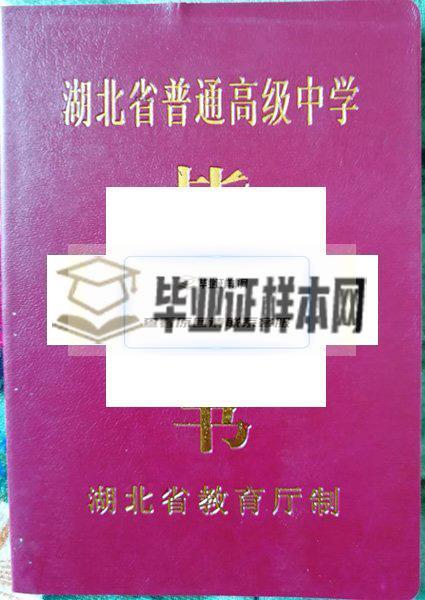 懷化市第一中學畢業證封面