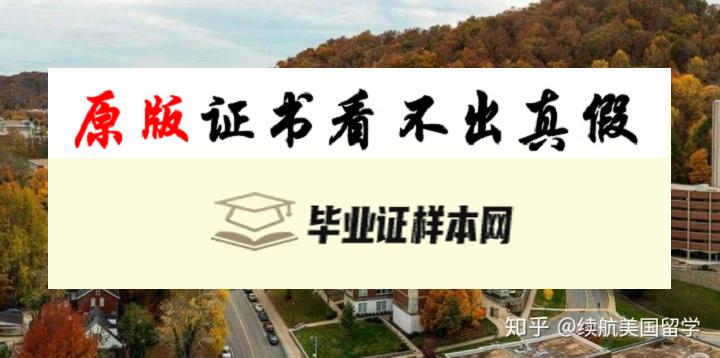 美国密歇根州立大学毕业证书模板