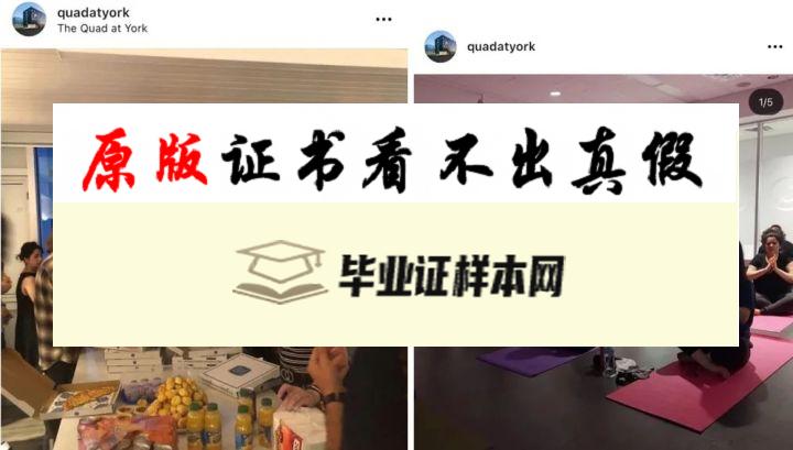 加拿大约克大学毕业证书样本