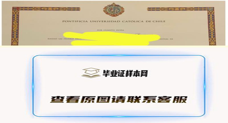 展示智利天主教大学毕业证书样本