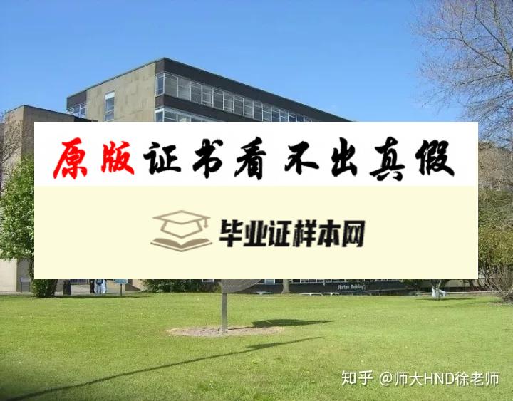 英国布莱德福德大学毕业证书样本  University of Bradford