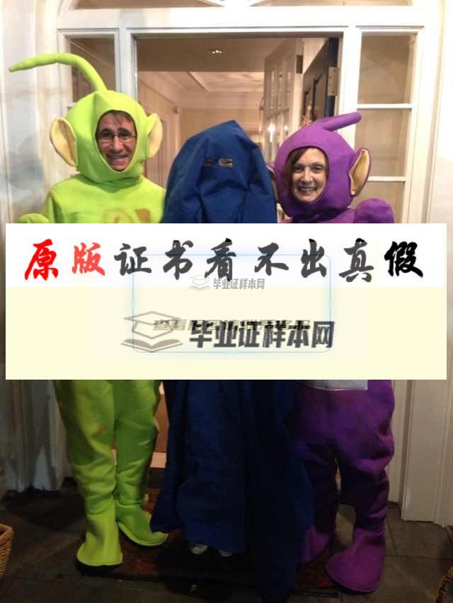?美國塔夫茨大學畢業證書模板