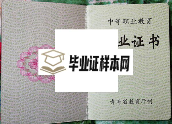 西宁市第十三中学2006年毕业证