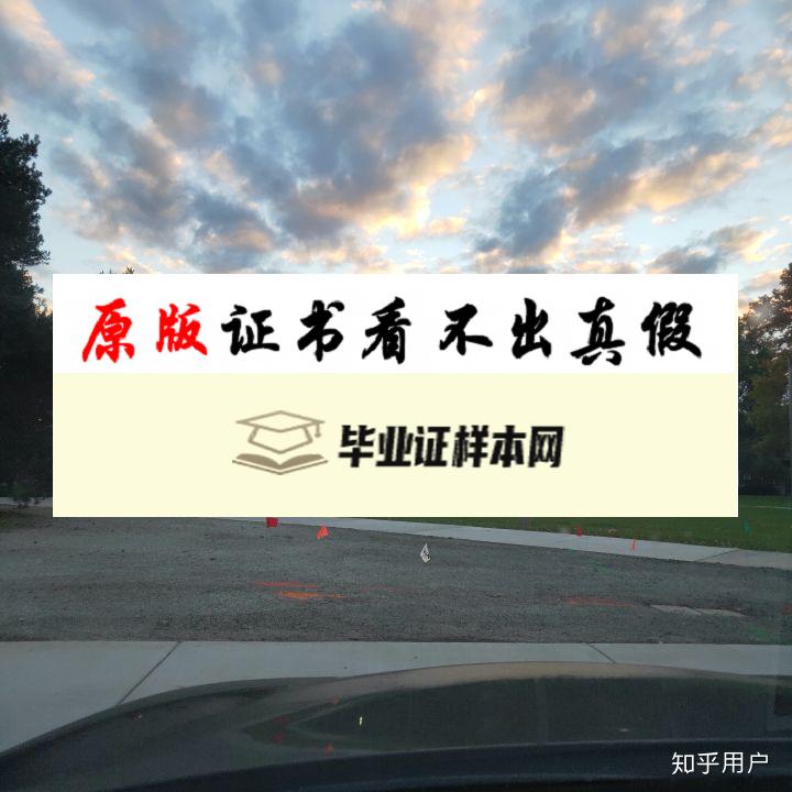 美国明尼苏达大学双城分校毕业证书模板