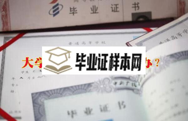 大学毕业证丢了怎么办